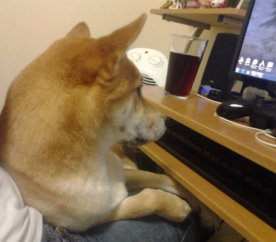 开云体育APP-_海浪极限冲浪：迎浪而上的速度挑战_，冲浪是以海浪为动力的极限运动