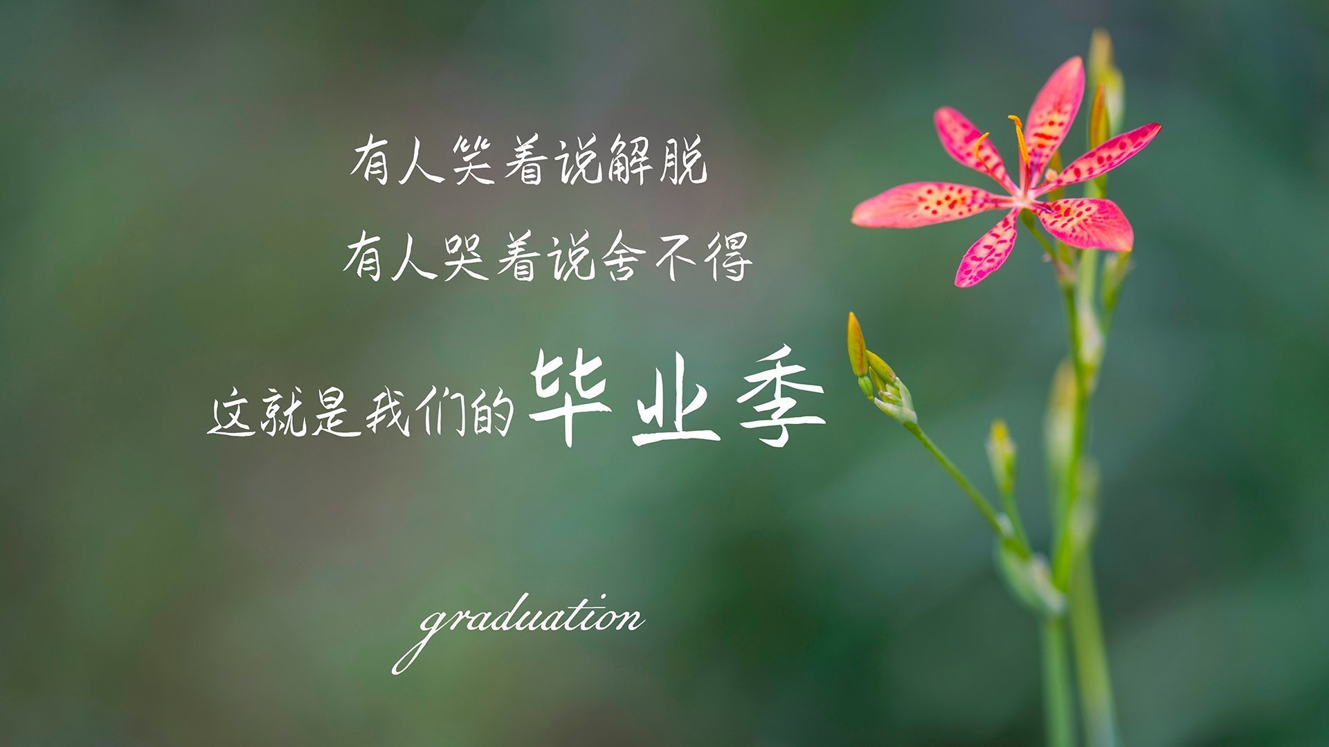 _新能源运动:电动滑板新宠火热来袭_,最新型的电动滑板