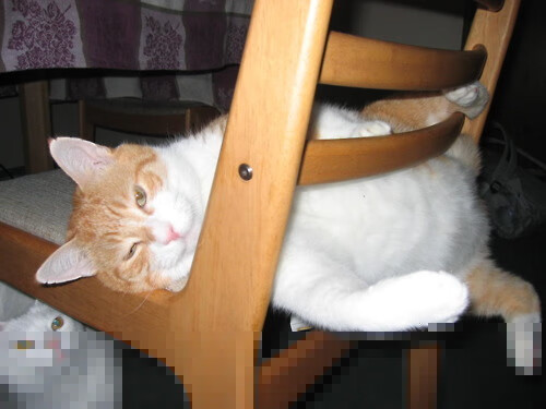 亚洲荣耀：泰国队大战俄罗斯，中场对决，泰国联赛足球