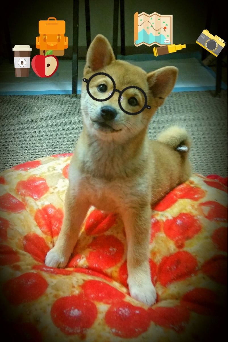 乌拉圭男足在巴黎奥运会比赛中表现出色，赢得银牌，乌拉圭男足名单