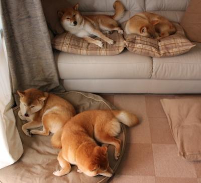 开云在线-国际知名教练助力中国篮球战术体系创新，著名篮球教练