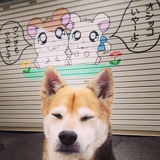 战术天才的“秘密武器”：团队里的奇兵奇谋，战术天才笔趣阁