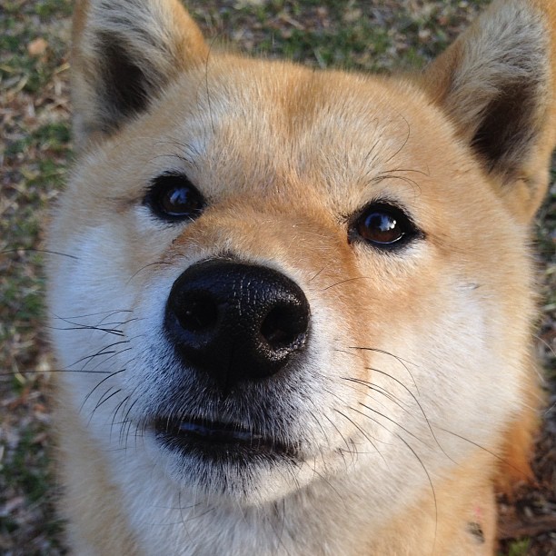 突发故障：车手如何应对临时危机？，司机临时遇到车辆故障