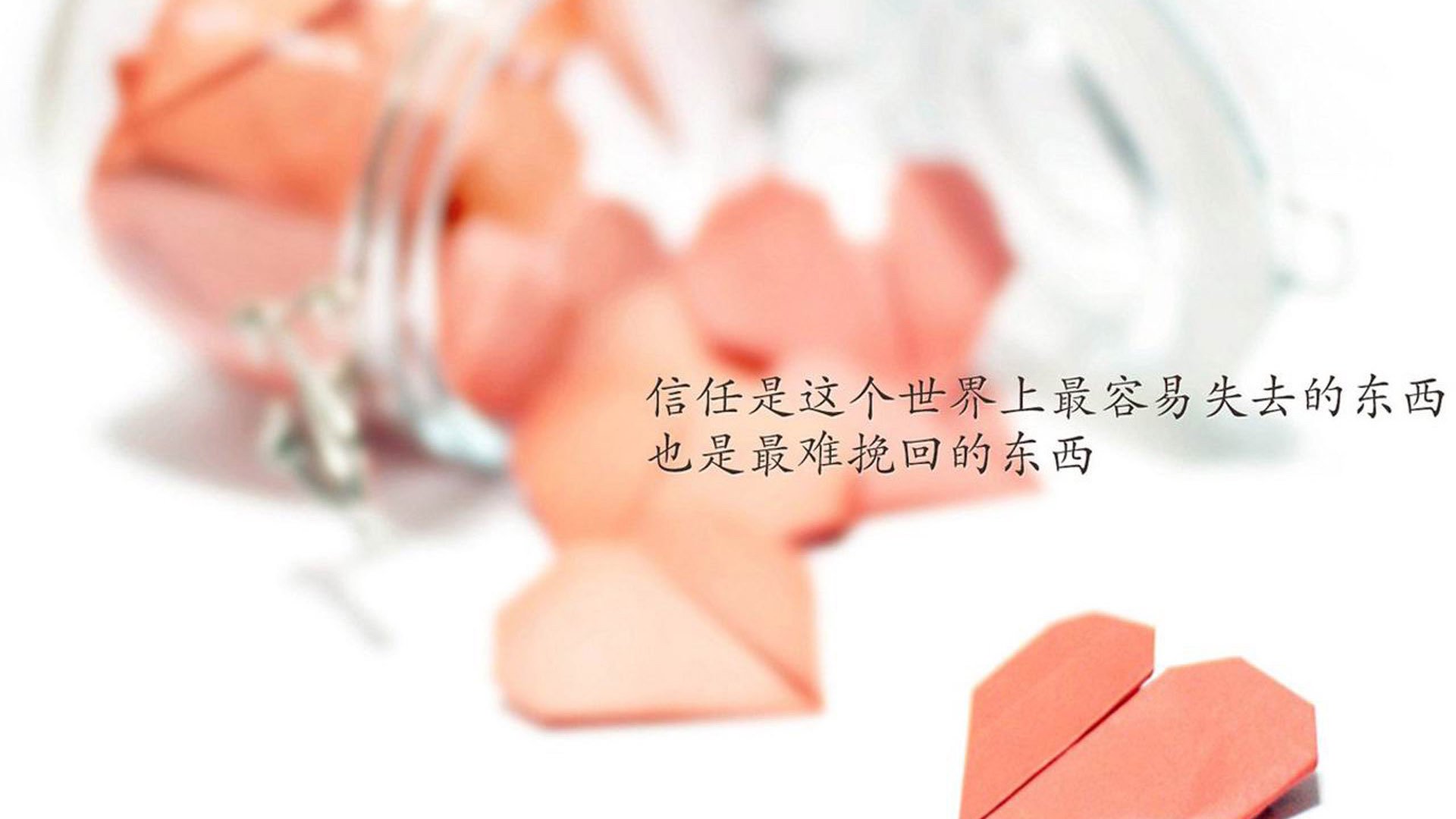 英雄联盟全球新秀挑战赛启幕，见证新星崛起，lol新秀合同