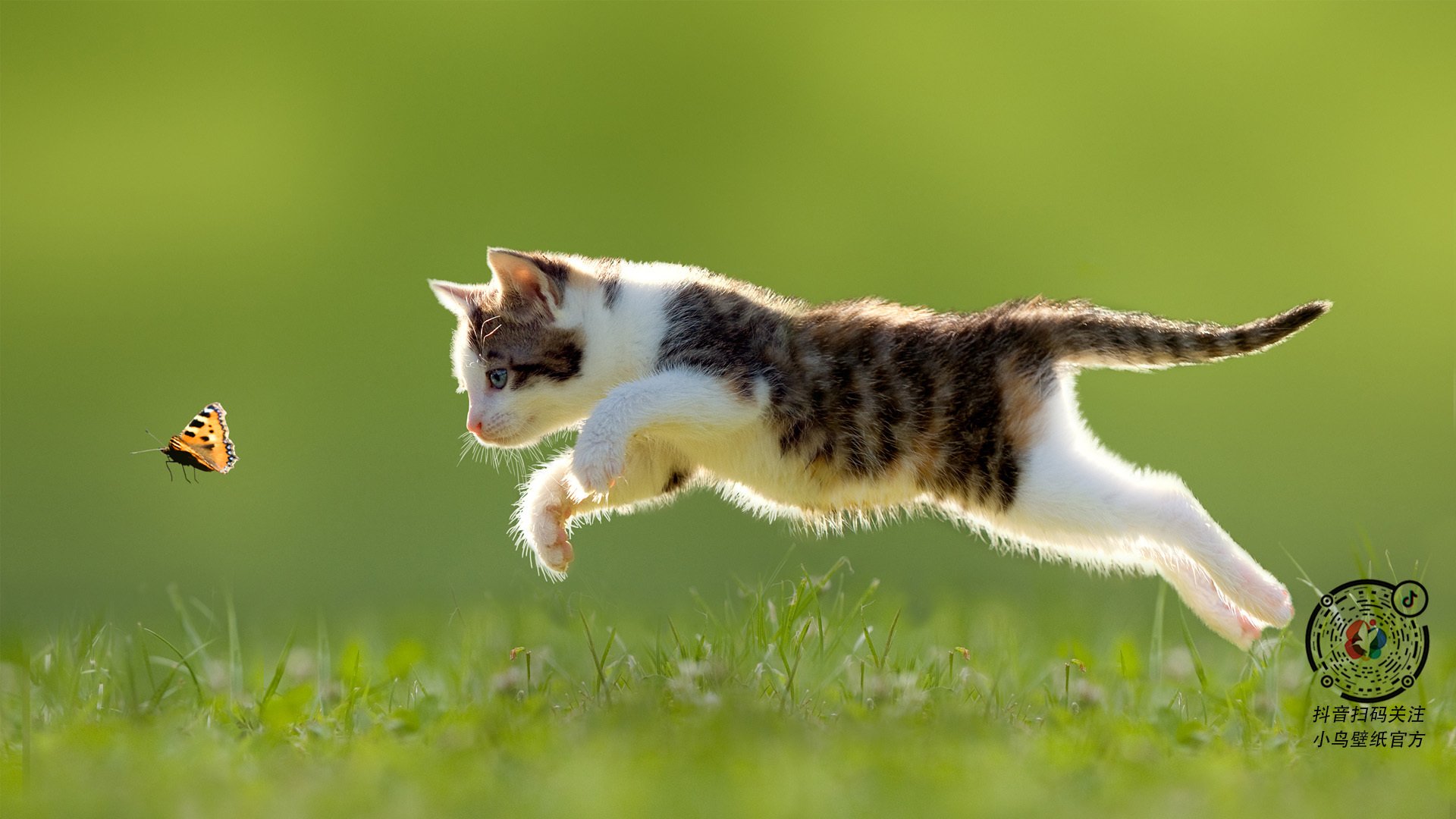 开云体育客户端-阿斯顿维拉客场不敌，欧战名额渐行渐远，阿斯顿维拉近况