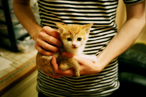 高校体育专业课程体系优化升级,高校体育专业课程体系优化升级的意义